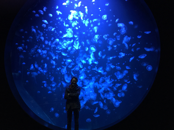 クラゲ世界一の加茂水族館